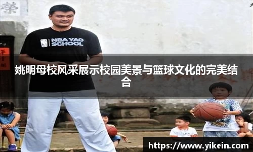 必一体育
